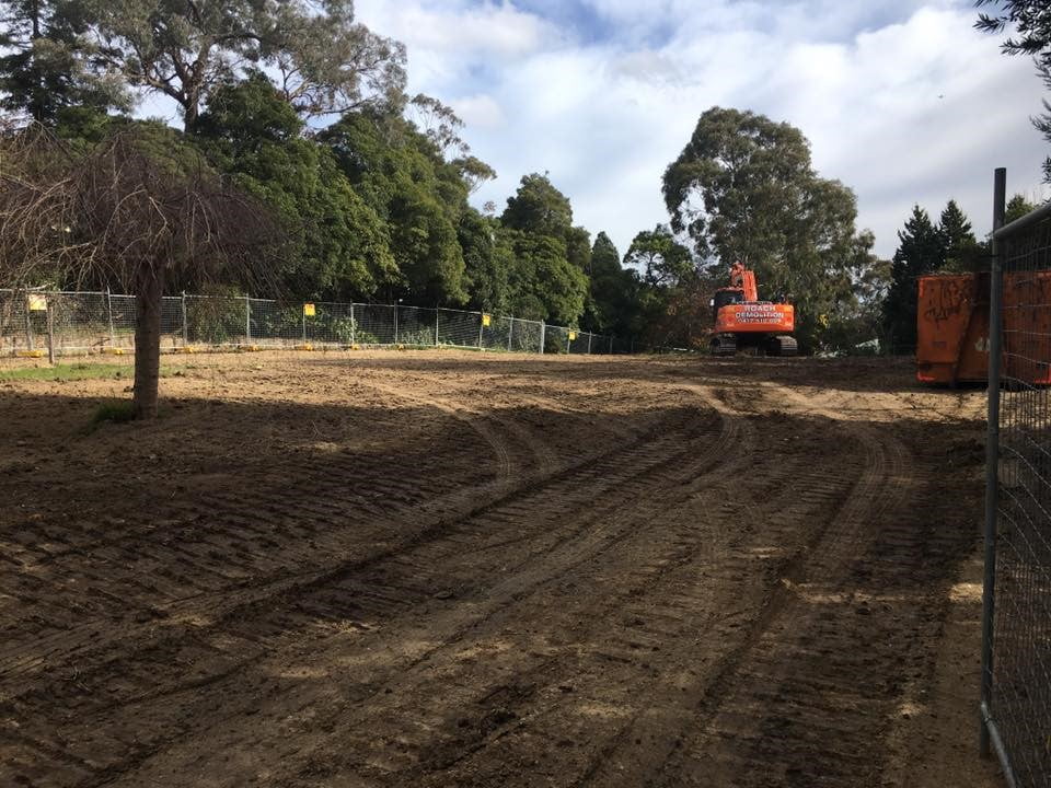 tree removal melbourne